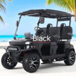 2025 Denago EV Rover Xl Black
