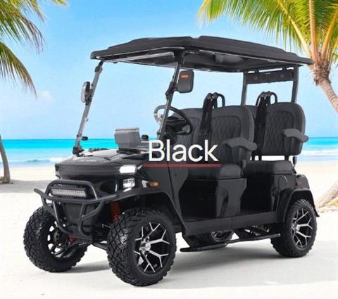 2025 Denago EV Rover Xl Black image