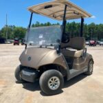 2021 YAMAHA DRIVE 2 48V AC BROWN