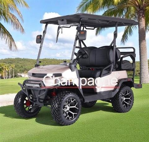 2025 Denago EV Nomad XL champagne image