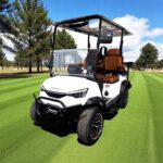 2025 DACH EV Falcon Explorer 2+2 White