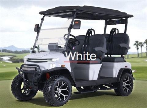 2025 Denago Ev Rover XL White image