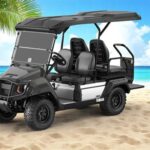 2025 Yamaha UMAX 2+2 Gas EFI