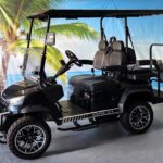 2025 DACH Vehicles Falcon 2+2 Black