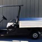2025 Cushman Hauler 1200 EFI Gas Bright White