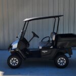 2025 Cushman Hauler 800X EFI Gas Bright White