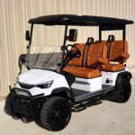 2025 DACH Vehicles Apollo White-Caramel