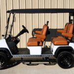 2025 DACH Vehicles Apollo White-Caramel