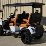 2025 DACH Vehicles Apollo White-Caramel