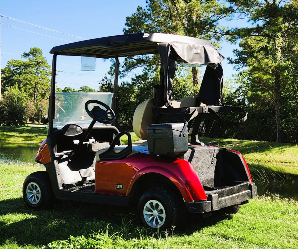 2022 E-Z-GO RXV ELiTE Flame Red image