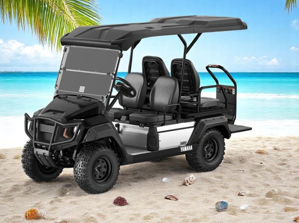 2025 Yamaha UMAX 2+2 Gas EFI image