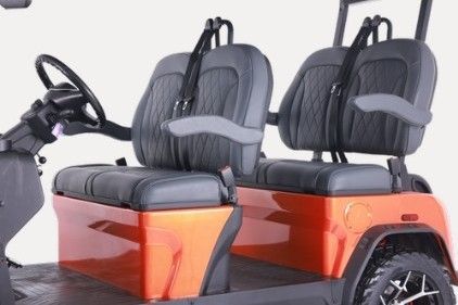 2025 Denago Ev Rover XL Lava image